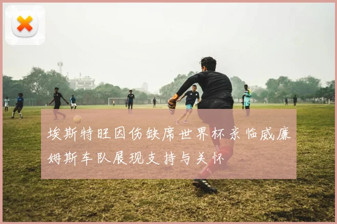 埃斯特旺因伤缺席世界杯亲临威廉姆斯车队展现支持与关怀